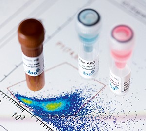 Fluorescent Cell Staining