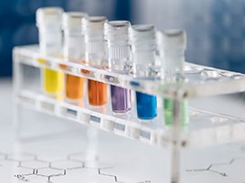 Fluorescence Labels
