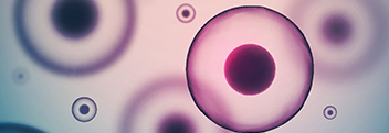 16692_LS 16692_LS