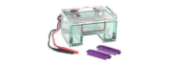 Gel Electrophoresis Equipment and Supplies