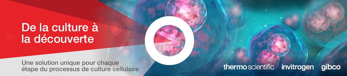 ThermoCellCultureBanner