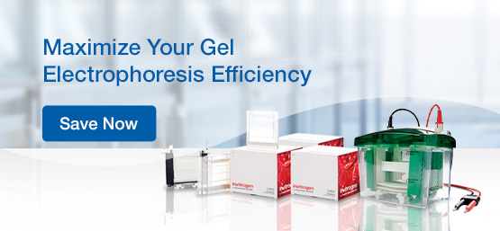 Invitrogen Electrophoresis Primary Core Set Savings