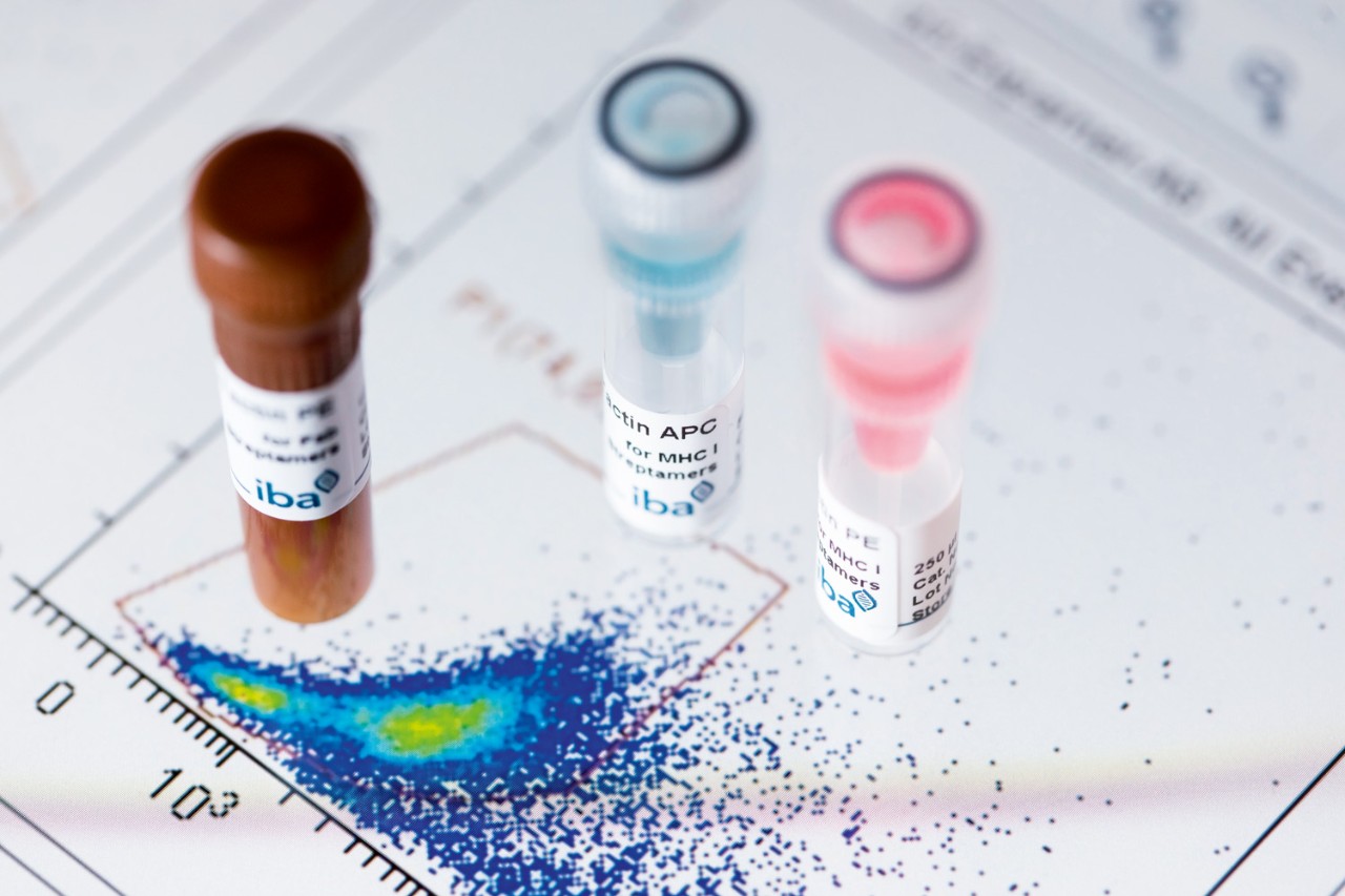 14736_iba-099_rz-1 Fluorescent Cell Staining