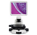 13297_Microscopy 13297_Microscopy