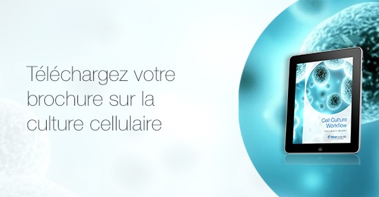 Cell Culture Workflow Brochure