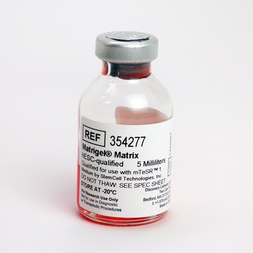 354277-Matrigel 354277-Matrigel