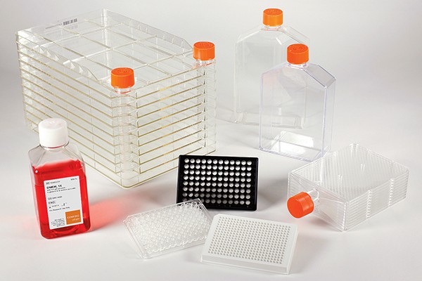 Assay Preparation