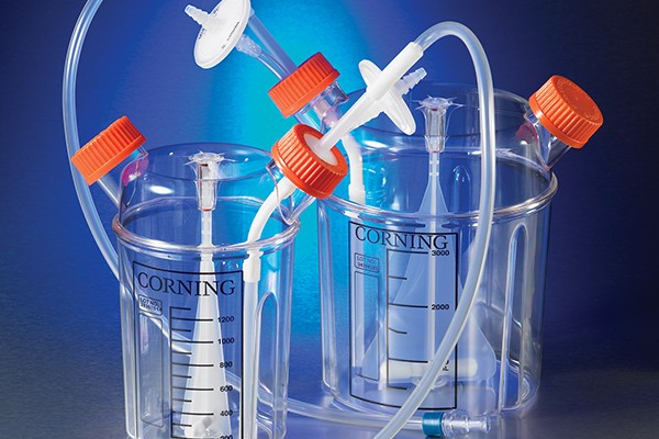 Bioproduction