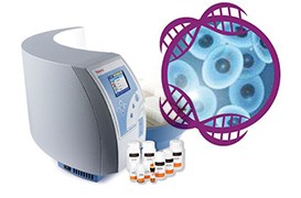 kingfisher-cell-tissue-dna kingfisher-cell-tissue-dna