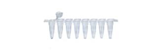 PCR Tubes