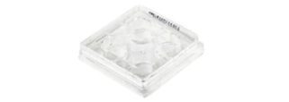 Cell Culture Dishes and Flasks