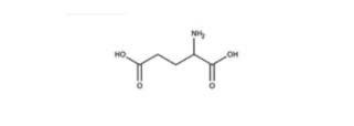 Amino Acid
